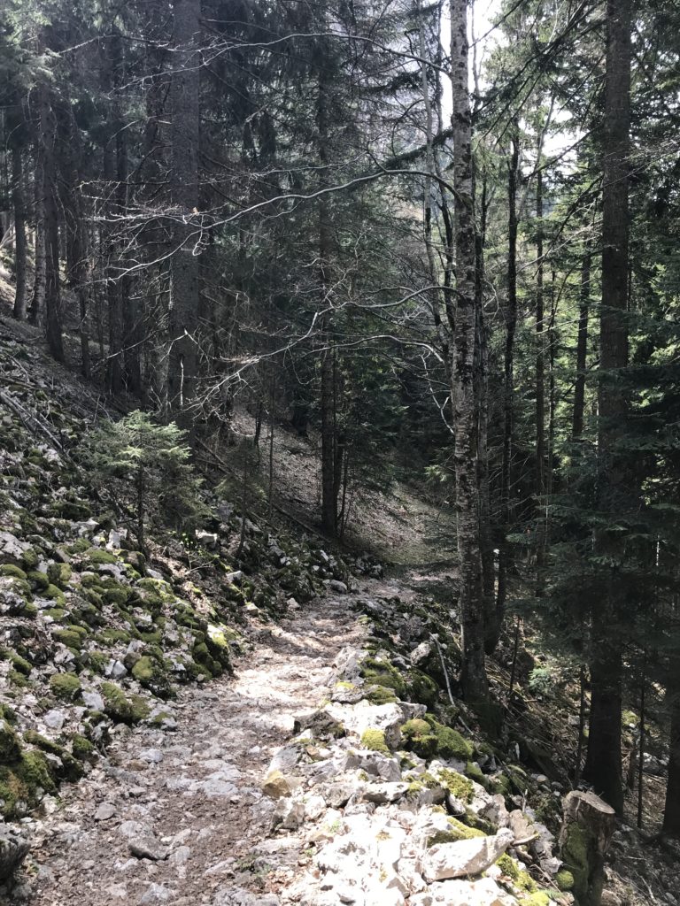 Sur les traces des Maquisards et de la résistance en Isère